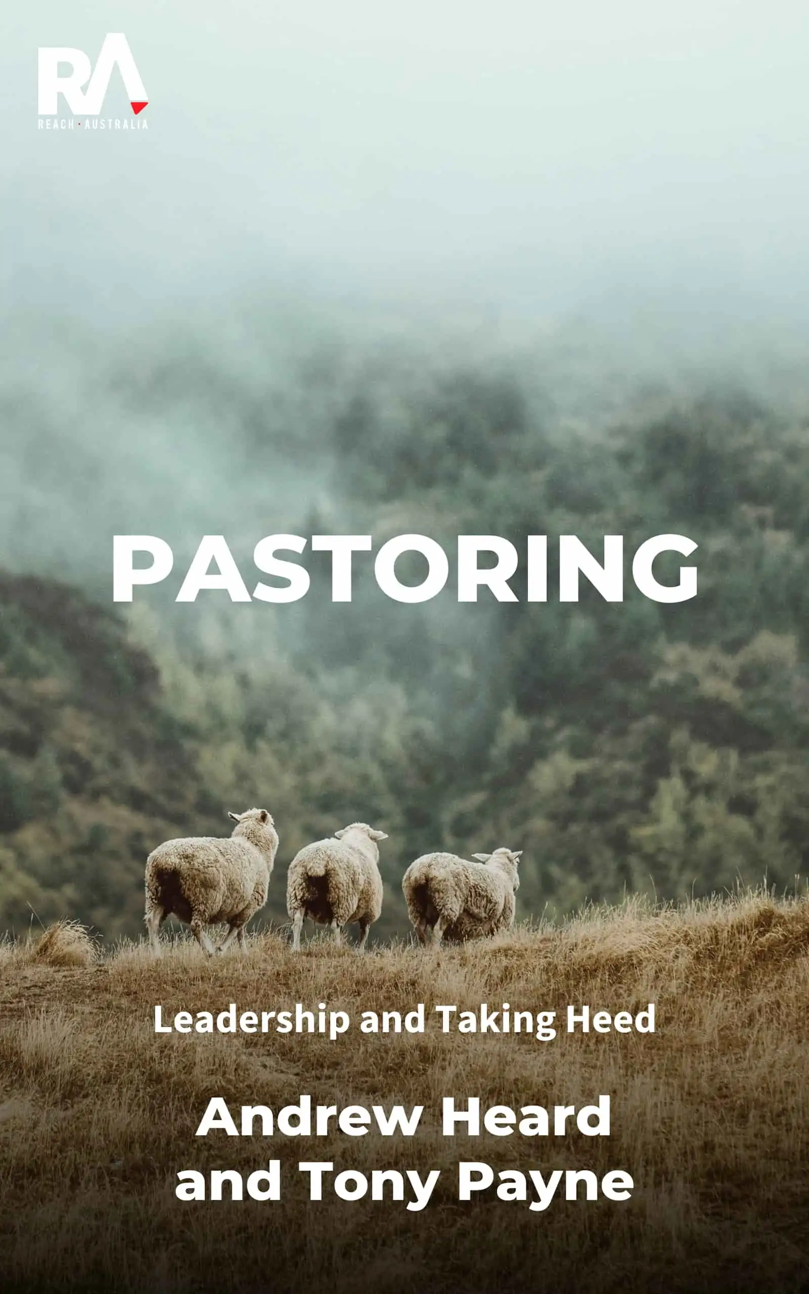 Pastoring Ebook