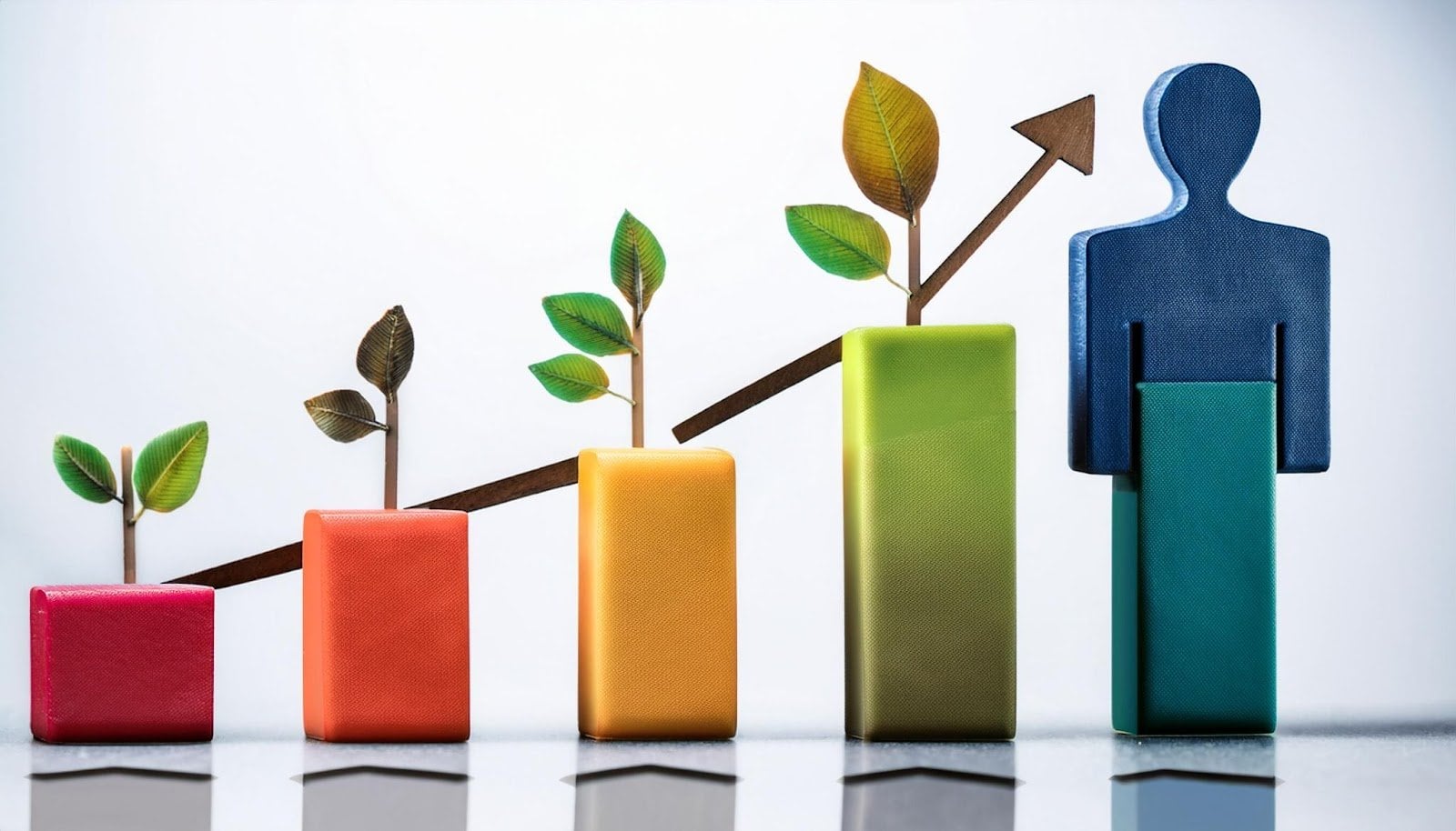 Q&A Proforma - Reach Australia